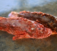 Cá mú đá đỏ gai (mú đỏ mao)