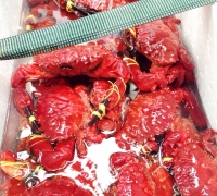 Cua nữ hoàng