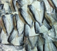Cá dứa 1 nắng