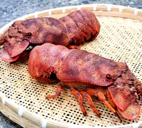 Tôm mũ ni đỏ